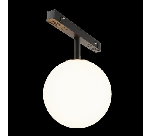 Трековый светильник Technical Maytoni Luna TR038-2-5W3K
