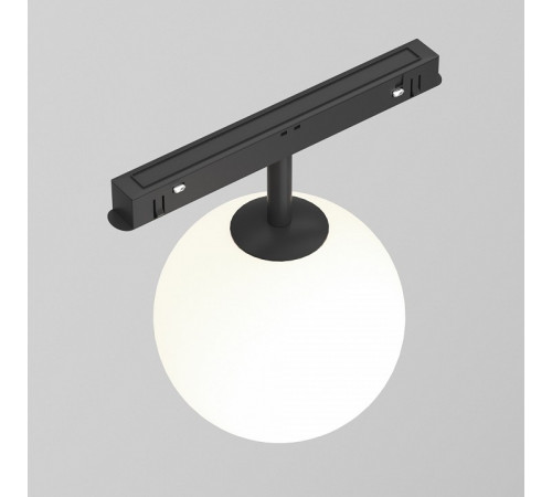 Трековый светильник Technical Maytoni Luna TR038-2-5W4K