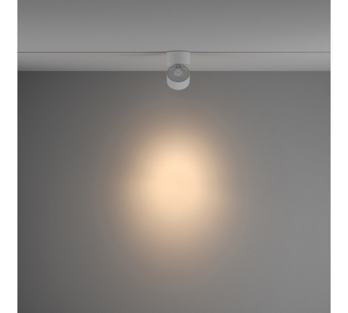 Трековый светильник Maytoni Technical Yin TR084-1-15W3K-D-W
