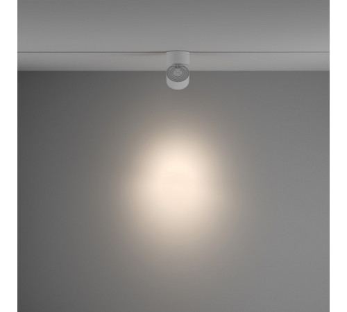 Трековый светильник Maytoni Technical Yin TR084-1-15W4K-D-W