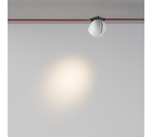 Трековый светильник Maytoni Cup TR124B-12W3K-M-B