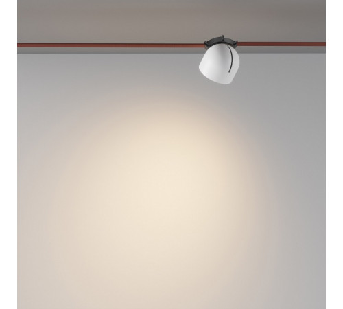 Трековый светильник Maytoni Cup TR124B-12W3K-M-B