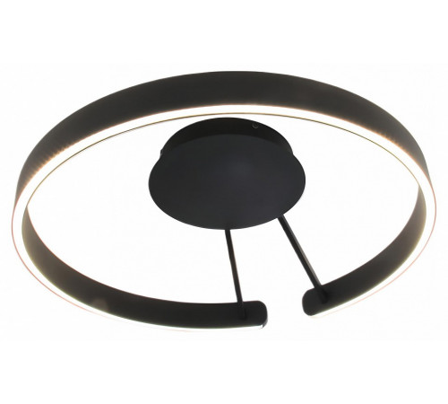 Потолочный светильник Mizi en Leo MZ31371-600-PB