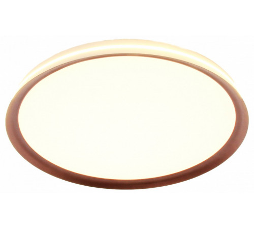 Потолочный светильник Mizi en Titan MZ31502-430