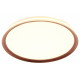 Потолочный светильник Mizi en Titan MZ31502-430