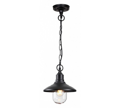 Уличный подвесной светильник Odeon Light Campa 4965/1 Уличный подвесной светильник Odeon Light Campa 4965/1