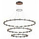 Подвесная люстра Odeon Light Candel 5009/204L