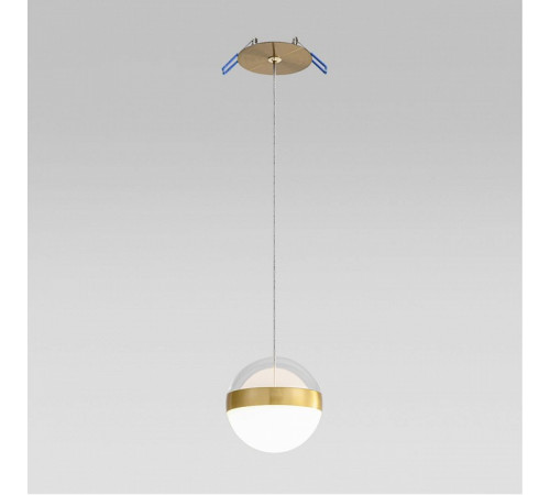 Подвесной светильник Odeon Light Roni 5036/12L