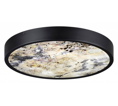 Настенно-потолочный светильник Odeon Light Bergi 5064/24L