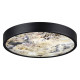 Настенно-потолочный светильник Odeon Light Bergi 5064/30L
