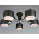 Потолочная люстра Omnilux Lisera OML-54507-05