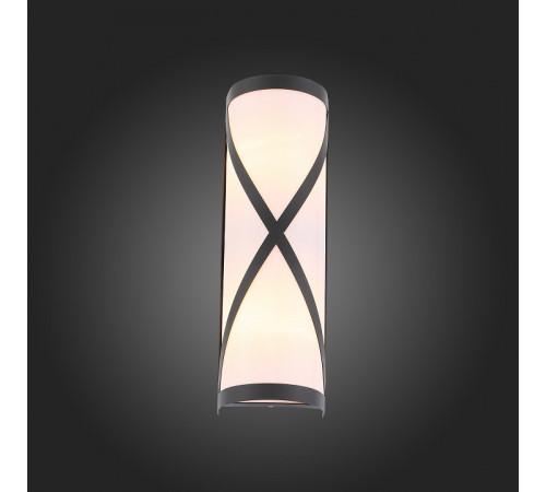 Уличный настенный светильник ST Luce Agio SL076.411.01 Уличный настенный светильник ST Luce Agio SL076.411.01