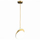 Подвесной светильник ST Luce Laico SL1164.303.01
