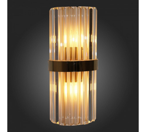 Настенный светильник ST Luce Arezzo SL1176.201.02