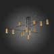 Подвесная люстра ST Luce Sormano SL1206.402.12