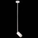 Подвесной светильник ST Luce Sormano SL1206.503.01