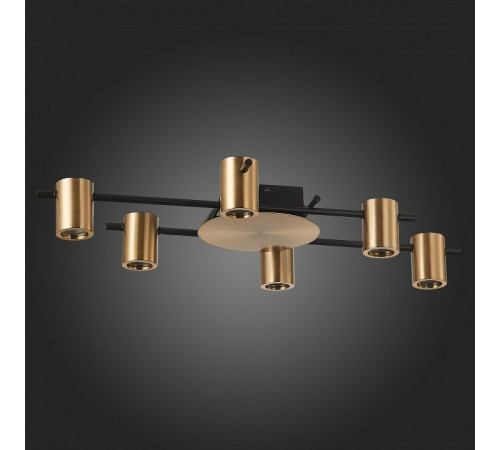Потолочная люстра ST Luce Veroli SL1207.402.06