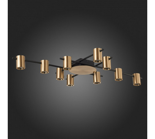 Потолочная люстра ST Luce Veroli SL1207.402.10