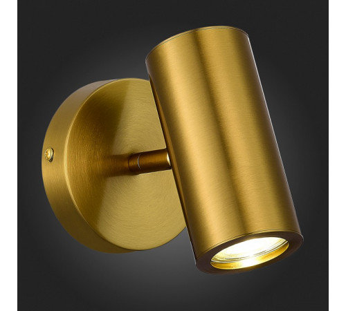 Спот ST Luce Talia SL1215.401.01