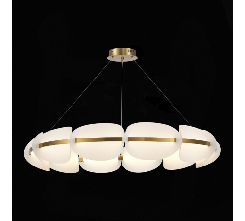 Подвесная люстра ST Luce Etoile SL1304.203.65
