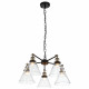 Подвесная люстра ST Luce Evoluto SL237.413.05
