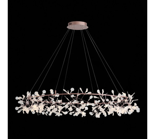Подвесная светодиодная люстра ST Luce Rafina SL379.203.324