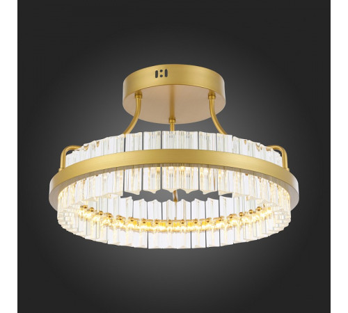 Люстра на штанге ST-Luce SL383.202.01 Люстра на штанге ST-Luce SL383.202.01