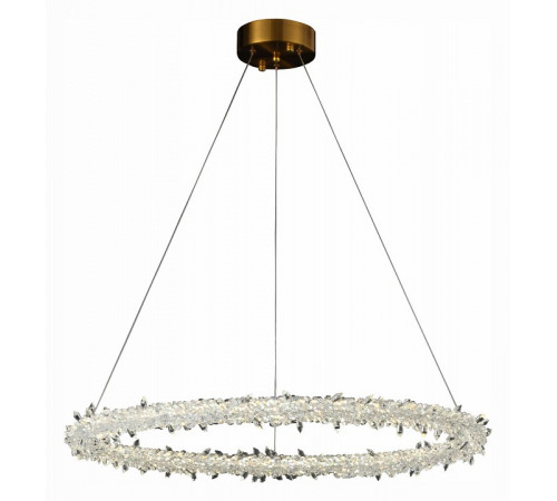 Подвесная люстра ST Luce Lucchero SL6105.213.01