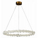 Подвесная люстра ST Luce Lucchero SL6105.213.01