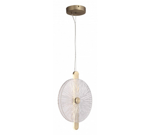 Подвесной светильник ST Luce Wasi SL6141.303.01