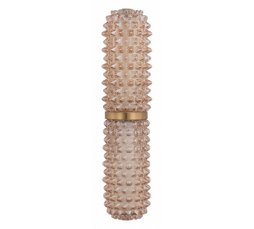 Настенный светильник ST Luce Saguaro SL6144.301.01 Настенный светильник ST Luce Saguaro SL6144.301.01