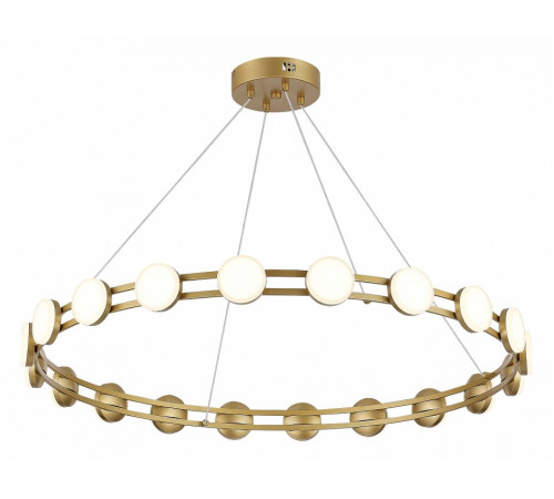 Подвесная люстра ST Luce Monro SL6610.203.20