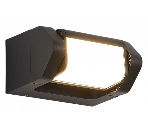Фасадный светильник ST Luce Protech SL9540.701.01
