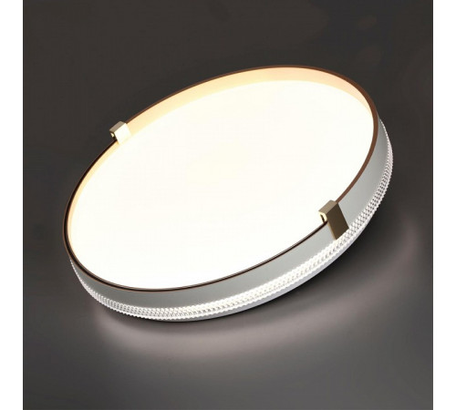 Настенно-потолочный светильник Sonex Olidi white 7646/CL