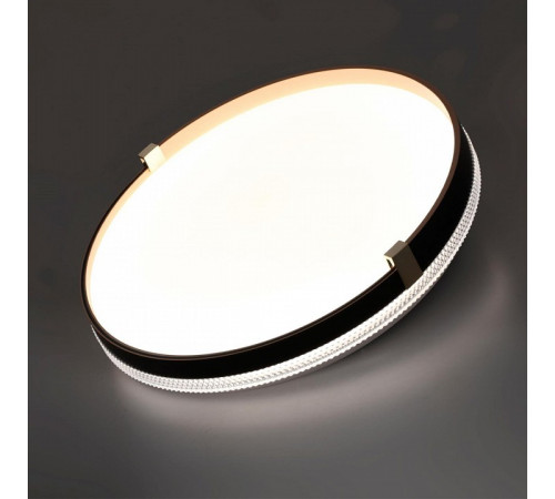 Настенно-потолочный светильник Sonex Olidi black 7647/CL
