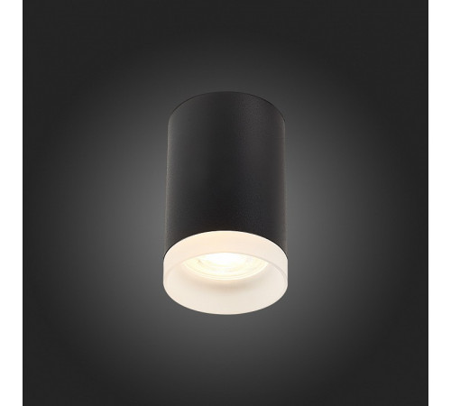 Накладной светильник ST Luce ST100 ST100.402.01 Накладной светильник ST Luce ST100 ST100.402.01