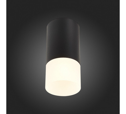 Накладной светильник ST Luce ST100 ST100.412.01 Накладной светильник ST Luce ST100 ST100.412.01