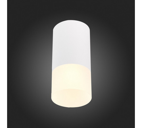 Накладной светильник ST Luce ST100 ST100.512.01 Накладной светильник ST Luce ST100 ST100.512.01