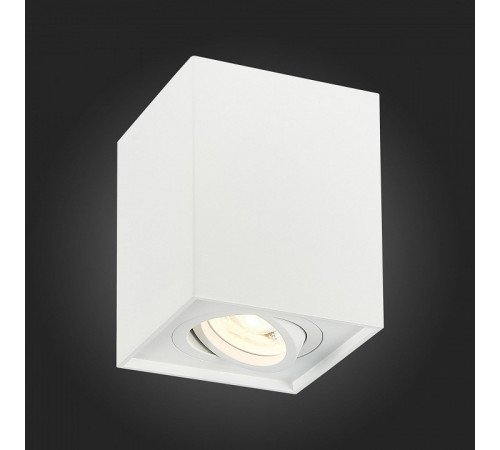Потолочный светильник ST LUCE ST109.507.01