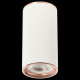 Потолочный светильник ST Luce Chomus ST111.527.01