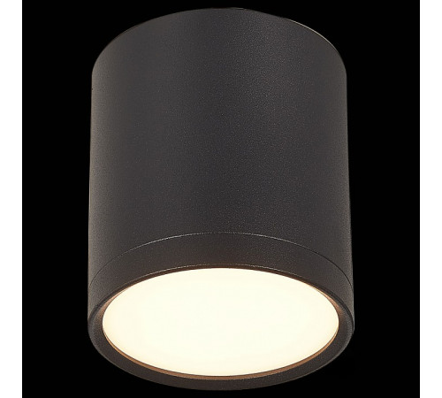 Потолочный светильник ST Luce Rene ST113.432.05