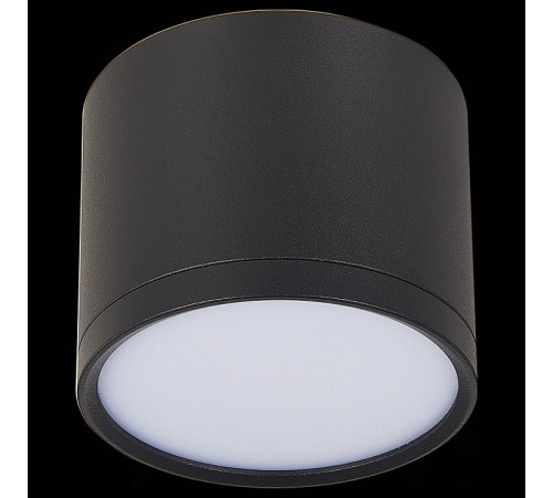 Потолочный светильник ST Luce Rene ST113.432.09 Потолочный светильник ST Luce Rene ST113.432.09
