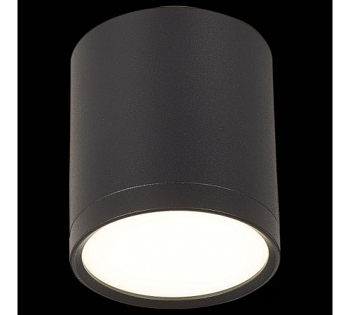 Потолочный светильник ST Luce Rene ST113.442.05