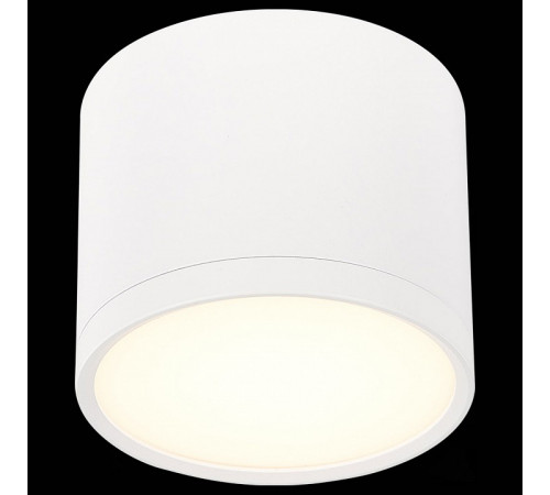 Потолочный светильник ST Luce Rene ST113.532.09
