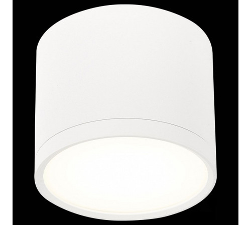 Потолочный светильник ST Luce Rene ST113.542.09