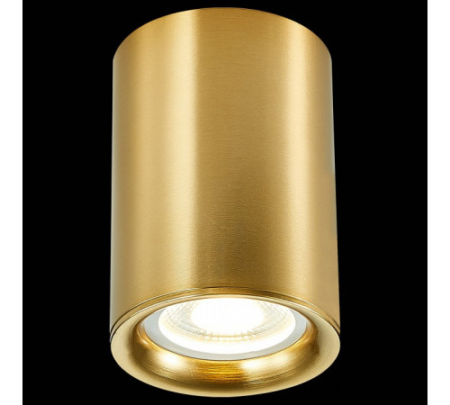 Накладной светильник ST Luce ST114 ST114.207.01 Накладной светильник ST Luce ST114 ST114.207.01