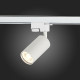 Трековый светильник ST LUCE ST300.506.01