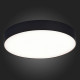 Потолочный светильник ST Luce ST606.442.48
