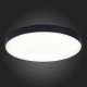 Потолочный светильник ST Luce ST606.442.96