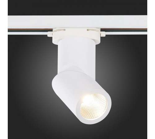 Трековый светодиодный светильник ST Luce ST650.546.10